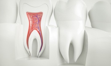 Illustration of inside of tooth; root canal therapy in Chesapeake, VA