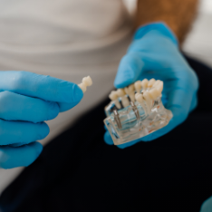 person holding a model of a dental implant